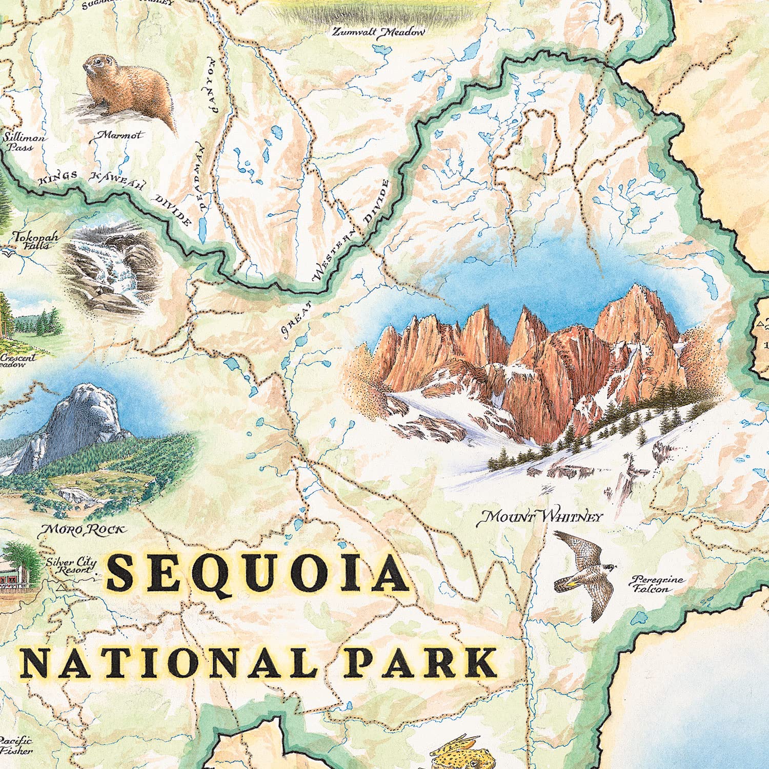 Amazon.com: Sequoia and Kings Canyon National Park 地圖紙板拼圖
